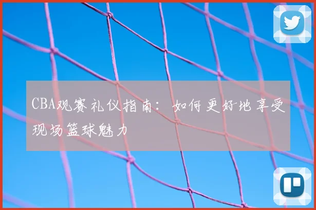 CBA观赛礼仪指南:如何更好地享受现场篮球魅力