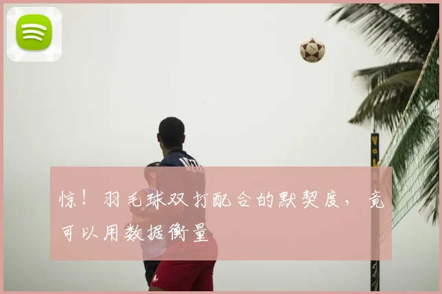 惊！羽毛球双打配合的默契度，竟可以用数据衡量
